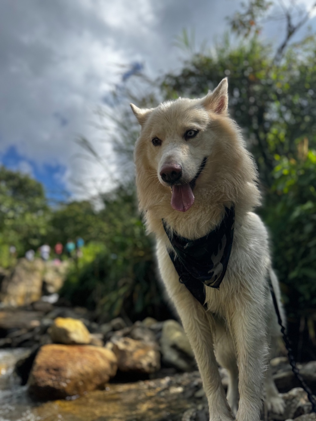 Zeus, compañero explorador de UTour